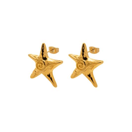 Aretes Starfish