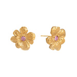 Comprar Aretes Lioba en Joyería Chabacano