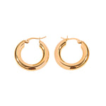 Comprar Aretes Silveria en Joyería Chabacano