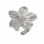 Comprar Anillo Ajustable Adhara Plata en Joyería Chabacano