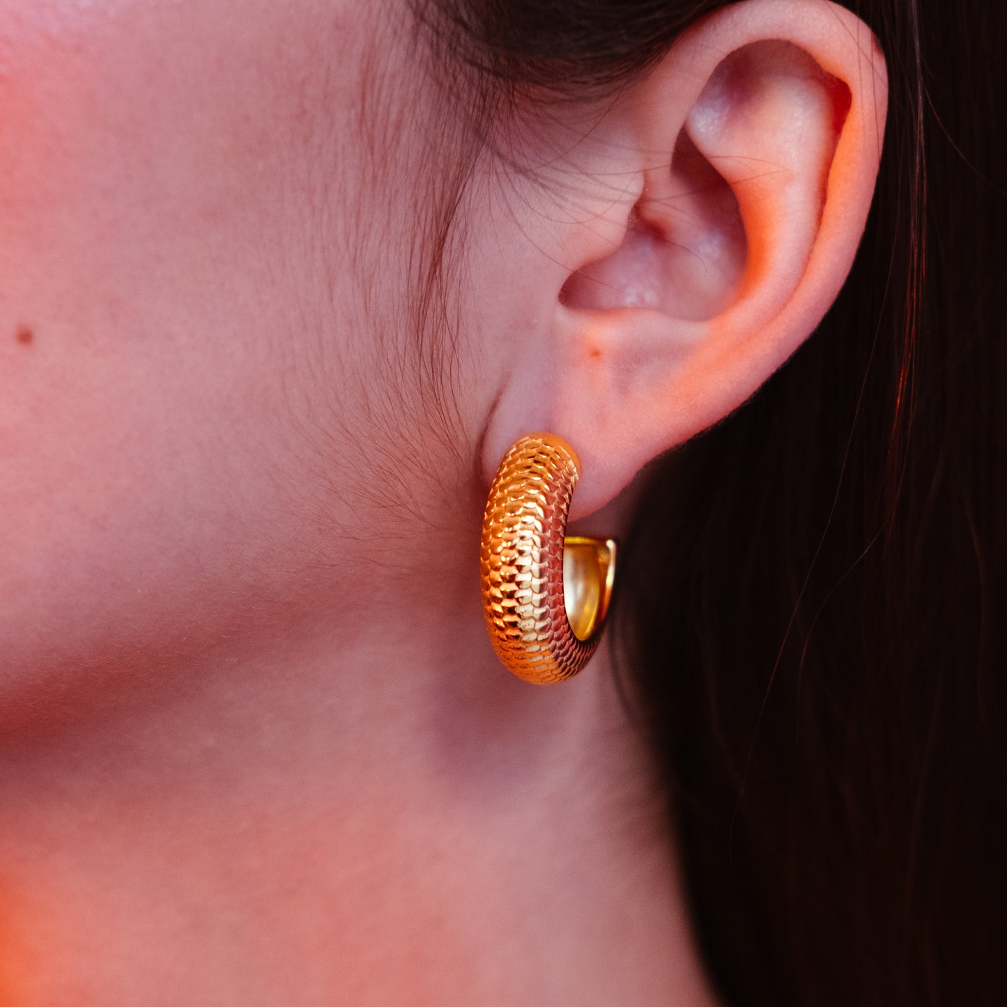 Aretes Chunky Snake