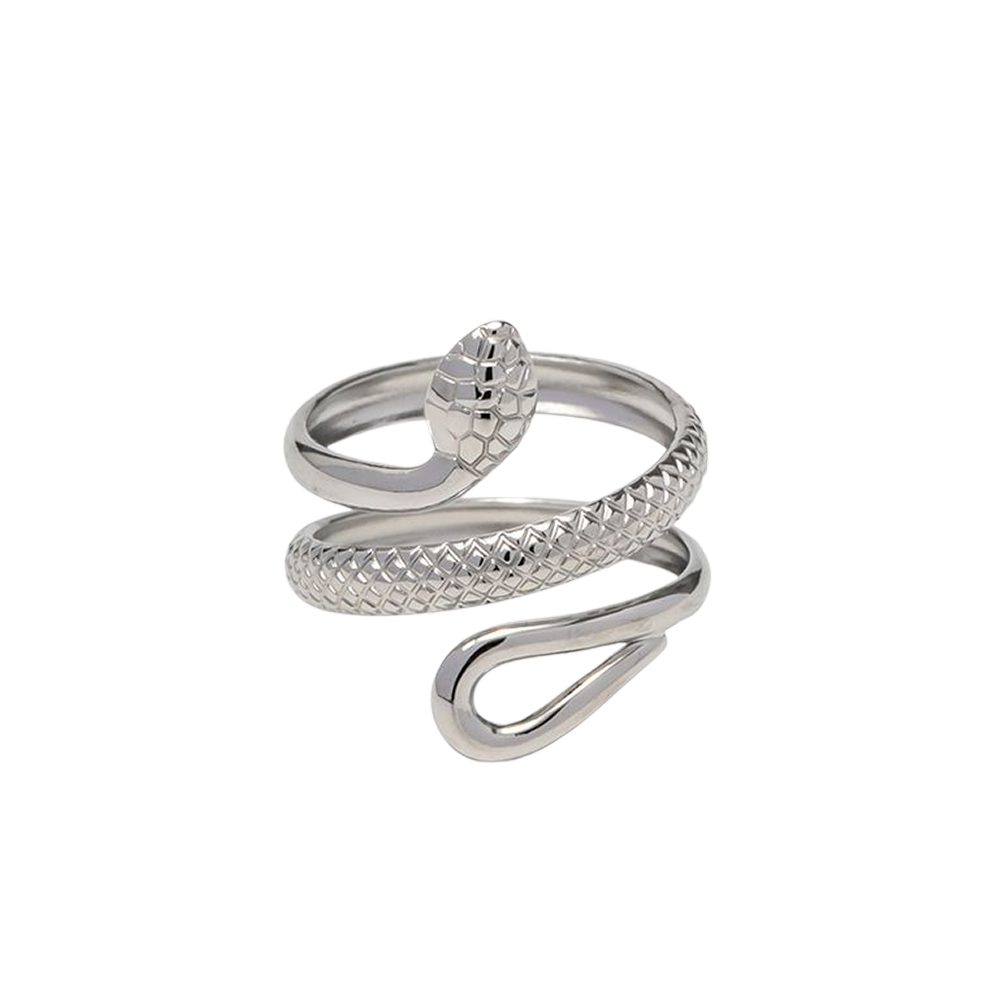 Comprar Anillo Ajustable Neuss Plata en Joyería Chabacano